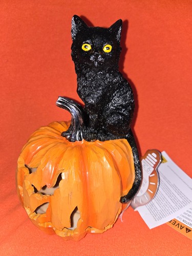 Maxx halloween cute cat - maxx, on