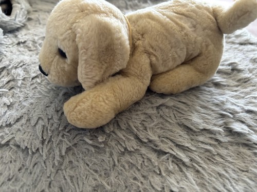 Cute labrador puppy plush - puppy,