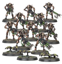 Necron Warriors & Scarab