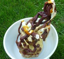 REISHI mushroom spores