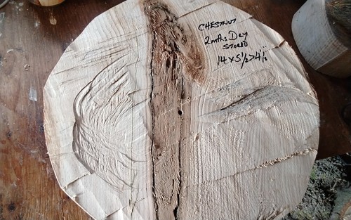 Large chestnut bowl blank - chestnut,