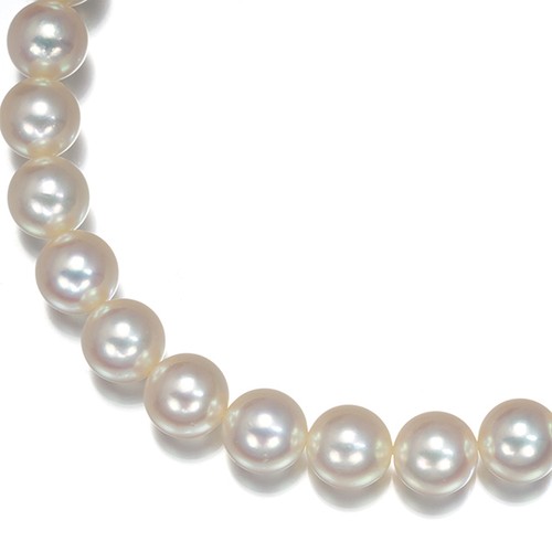 Auth mikimoto necklace akoya - auth,
