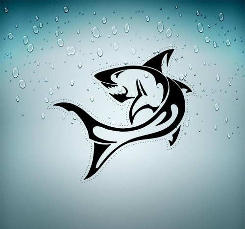 Sticker decal vinyl car - , bumper