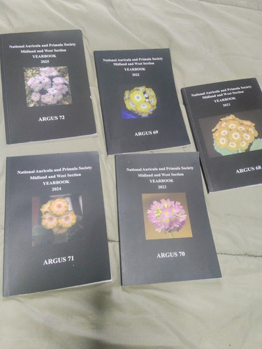 National auricula and primula - auricula,