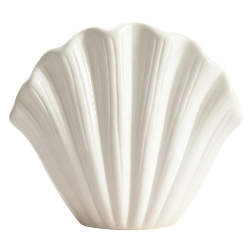 Seashell vase modern aesthetic - seashell,
