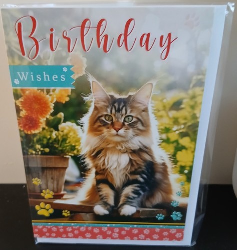 Cute cat female male birthday - female,