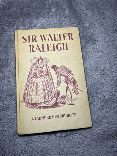 Vintage ladybird book - book, sir