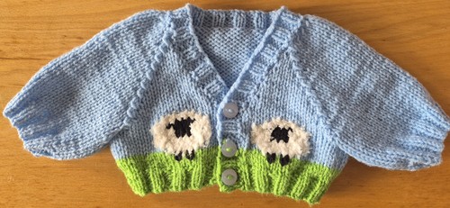 Teddy cardigan jacket hand - teddy,