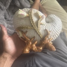 From 1900’s Royal Worcester