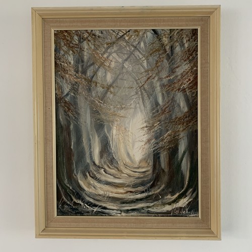 Stunning woodland forest scene - stunning,