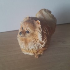 Sandicast Pomeranian Dog
