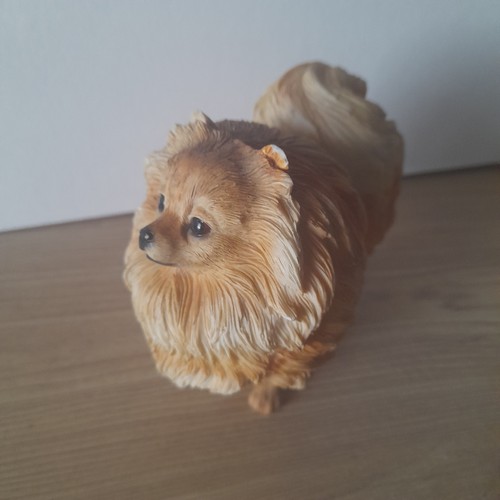 Sandicast pomeranian dog - sandicast,