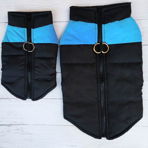 Dog autumn and winter - dog, vest