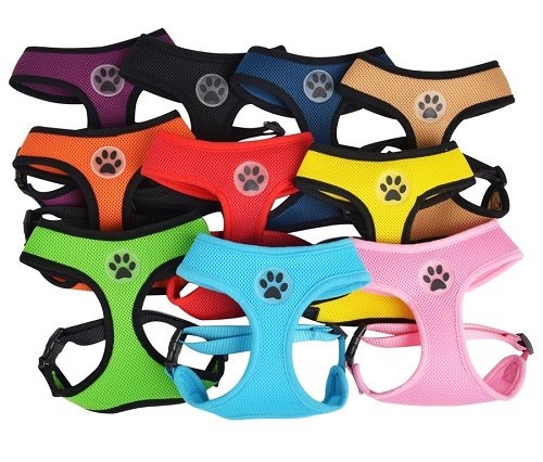 Dog mesh harness - mesh, no