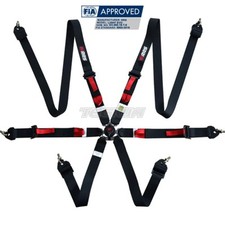 RRS FIA R6 Light Evo Harness -