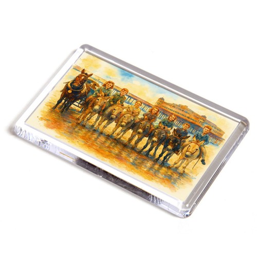 Fridge magnet the donkeys - the, at