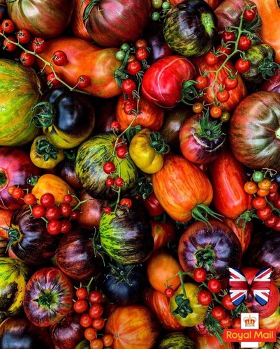 Tomato seeds mix exotic - seeds,