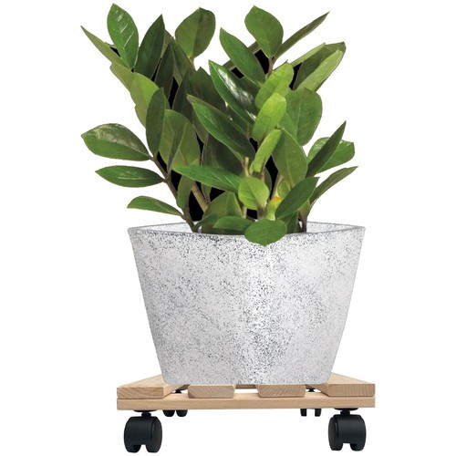 Plant roller square 30cm - plant,