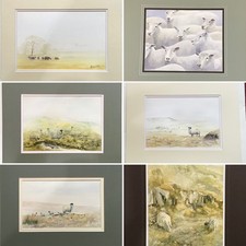 Original Watercolour Paintings