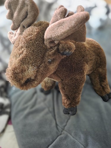 Brown moose soft toy - brown,