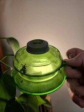 Vintage Foreign Oil Green Glass Font Table Lamp Finger Lamp 12cm Base