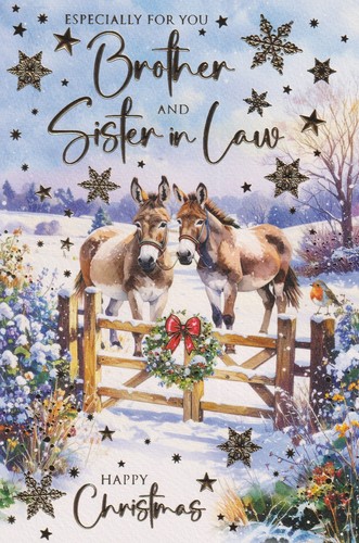 Brother and sister law - brother, in