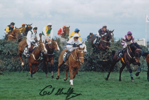 Carl llewellyn hand signed - carl,