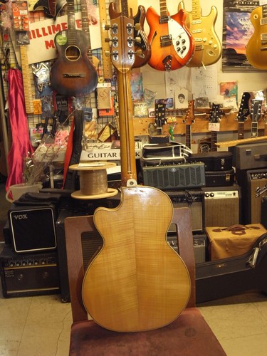 Hofner club60 1960s blond - hofner,
