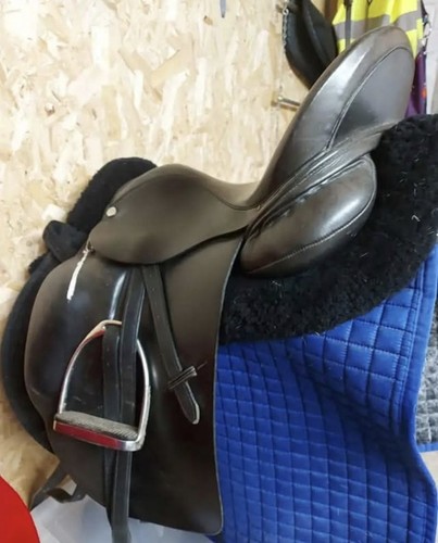 Albion platinum dressage - platinum,