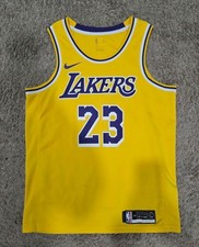 Nike Los Angeles Lakers LeBron