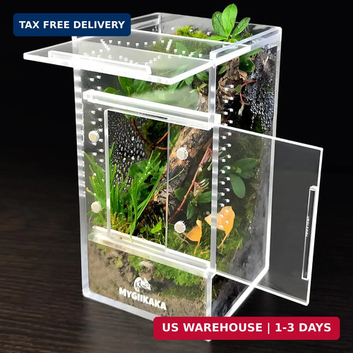 Jumping spider enclosure - jumping,