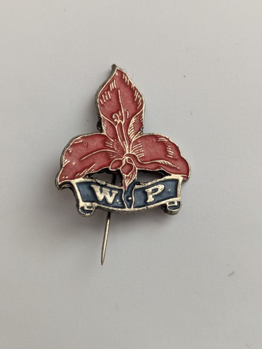 Western province rugby vintage - western,