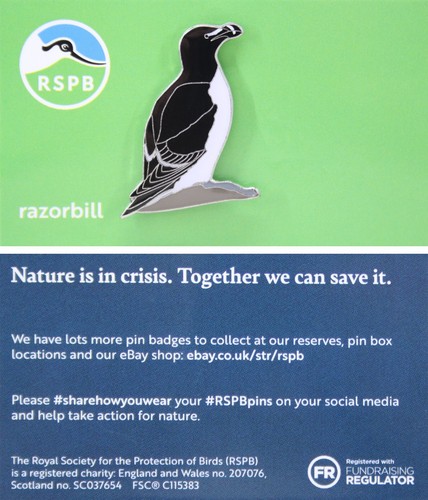 Rspb pin badge niic razorbill - pin,