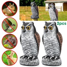 Owl Decoy Statue Protect