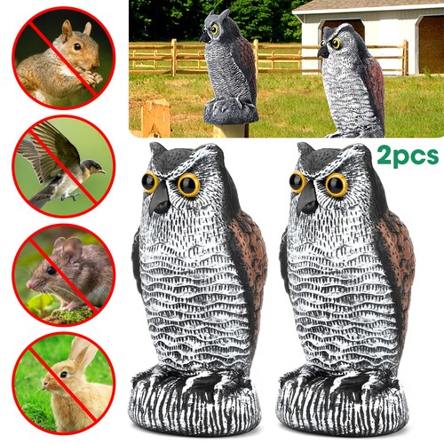 Owl decoy statue - owl,