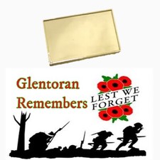 Glentoran Fc Pin Badge -