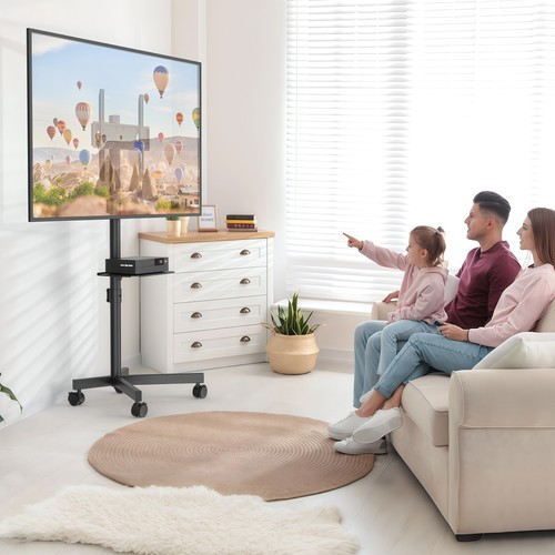 Adjustable stand cart - tv,