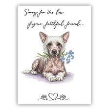 Chinese Crested Dog Sympathy
