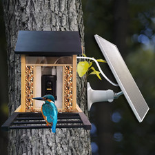 1080P Bird Feeder Camera