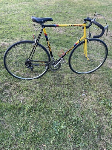 Raleigh team banana - raleigh,