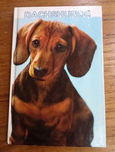 Dachshunds edita van - dachshunds,