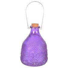 Glass Wasp Trap Extra Large