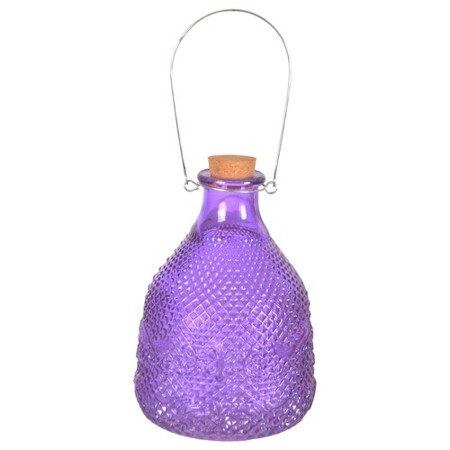 Glass wasp trap - wasp, large
