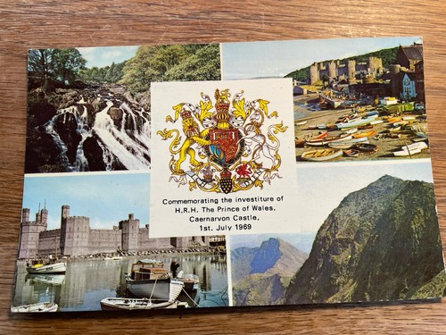 Investiture prince wales - prince,