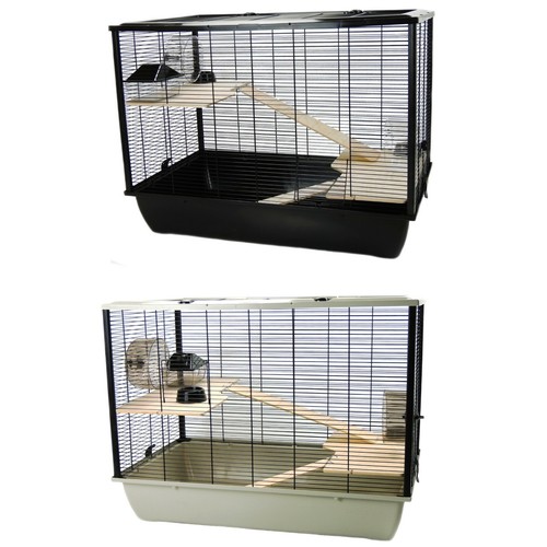 Rat hamster mouse - rat, or