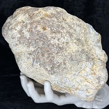 7-1/2” Large Geode Unopened