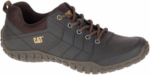 Caterpillar cat instruct - cat,