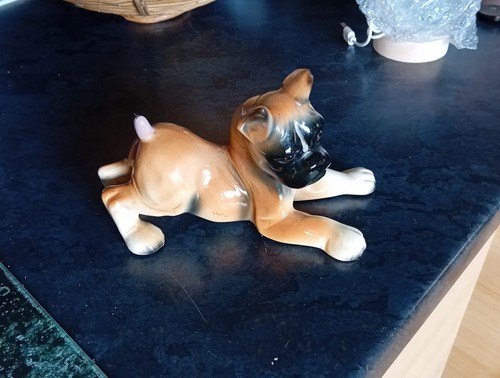 Black face boxer dog - black,