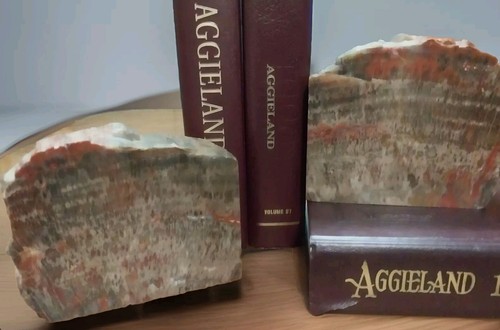 Lbs petrified wood - 16,