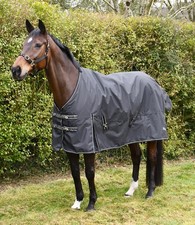 Rhinegold Nevada Outdoor Rug